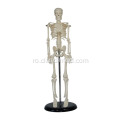 45CM Mini Skeleton